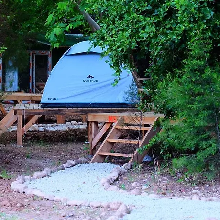 Kamp alanı Camp Meeting Point